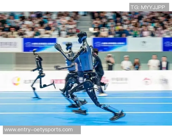 探索多样化体育器材的种类与功能助力运动爱好者提升运动体验